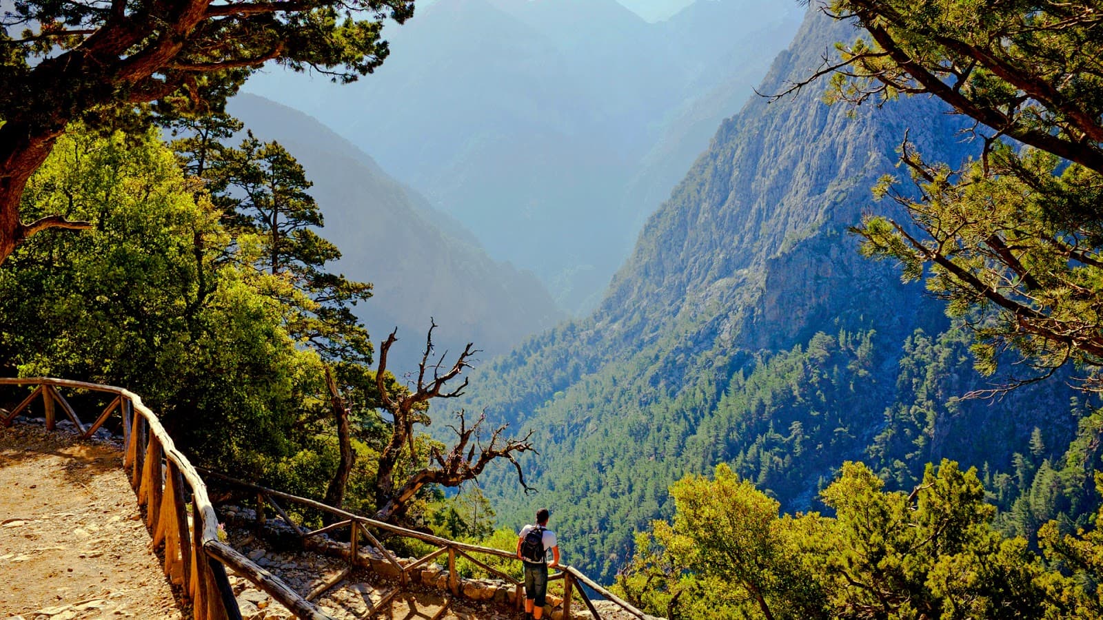 Samaria Gorge (Easy Way) From Chania